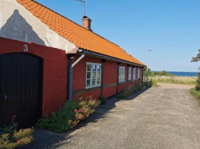 Holiday Home Elvira - 300m from the sea by Interhome in Svaneke